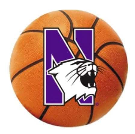 Northwestern Wildcats Outside Application Decal with N-cat on a Full Color Basketball Image 6" x 6"