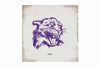 Northwestern Wildcats Square Vintage Canvas Wall Art with Vintage Wildcat Logo 14"X14"
