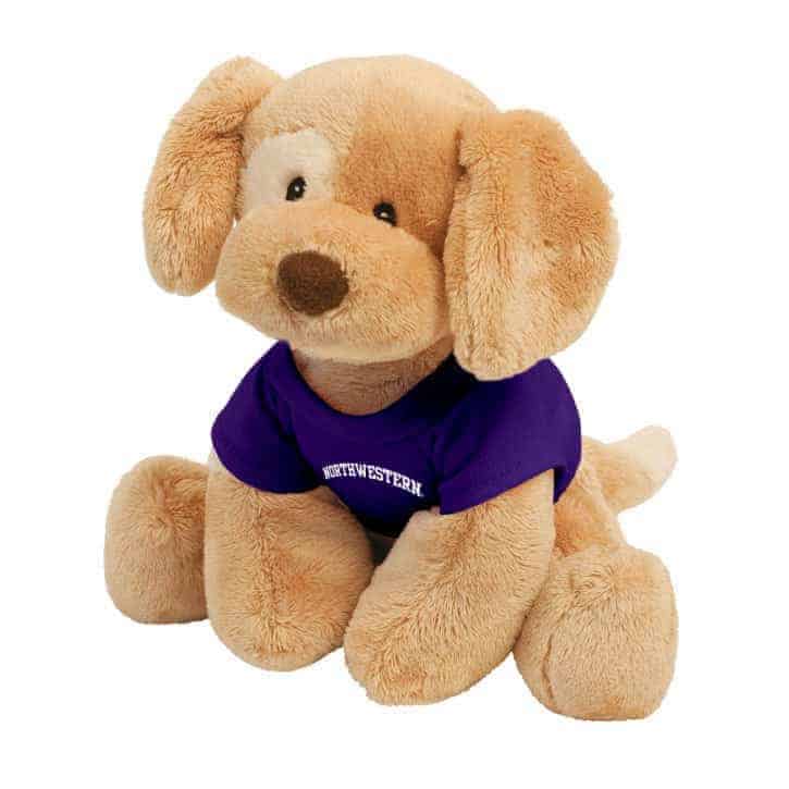 Northwestern Wildcats Riley Wearing Purple "Northwestern" Tee Shirt