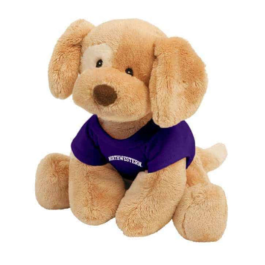 Northwestern Wildcats Riley Wearing Purple "Northwestern" Tee Shirt