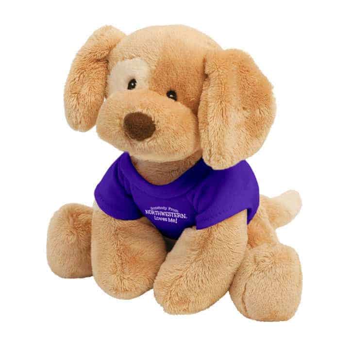 Northwestern Wildcats Riley Wearing Purple "Somebody From Northwestern Loves Me" Tee Shirt