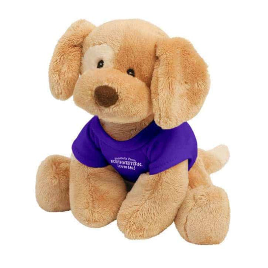 Northwestern Wildcats Riley Wearing Purple "Somebody From Northwestern Loves Me" Tee Shirt
