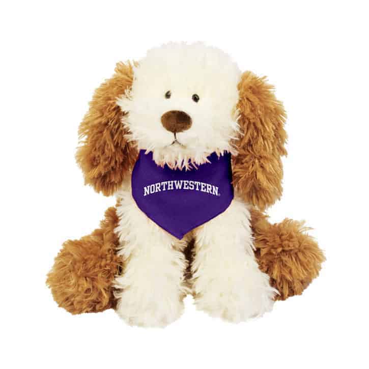 Northwestern Wildcats Crackers Wearing Purple "Northwestern" Bandana