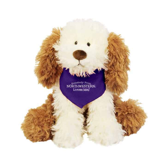 Northwestern Wildcats Crackers Wearing Purple "Somebody From Northwestern Loves Me" Bandana