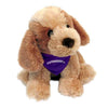 Northwestern Wildcats Bo Wearing Purple "Northwestern" Bandana