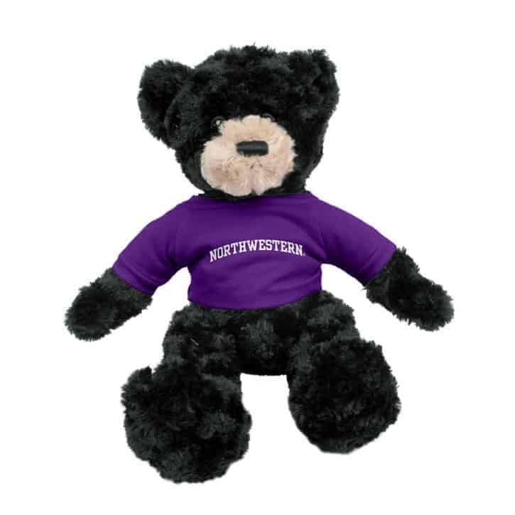 Northwestern Wildcats Black Dexter Wearing Purple "Northwestern" Tee Shirt