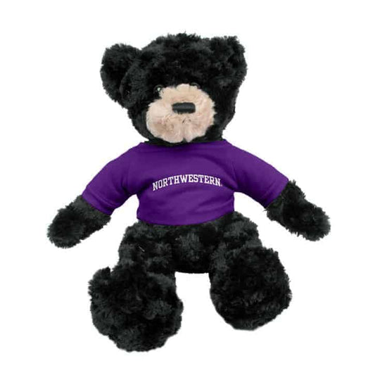 Northwestern Wildcats Black Dexter Wearing Purple "Northwestern" Tee Shirt