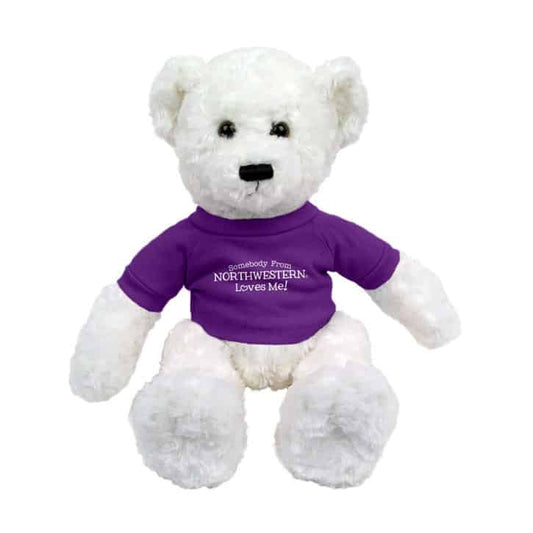 Northwestern Wildcats White Dexter Wearing Purple "Somebody From Northwestern Loves Me" Tee Shirt