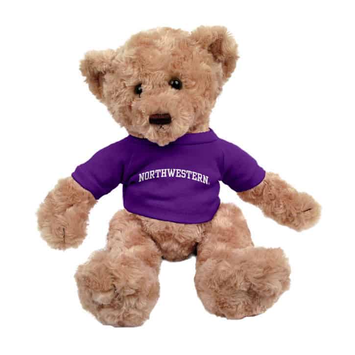 Northwestern Wildcats Tan Dexter Wearing Purple "Northwestern" Tee Shirt