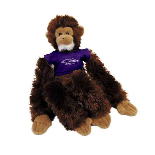Northwestern Wildcats Brown Manny The Monkey Wearing Purple "Somebody From Northwestern Loves Me" Tee Shirt