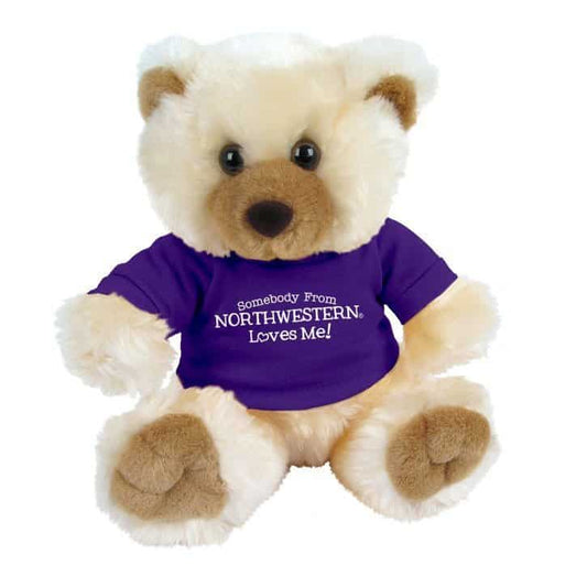 Northwestern Wildcats Teddy Bear Max Wearing Purple "Somebody From Northwestern Loves Me" Tee Shirt