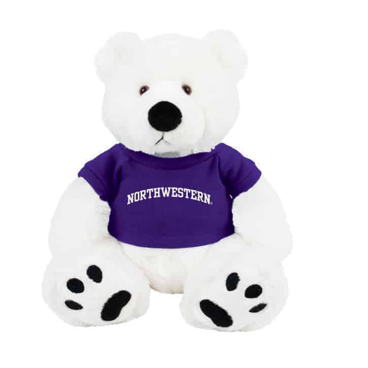 Northwestern Wildcats Teddy Bear Scout Wearing Purple "Northwestern" Tee Shirt