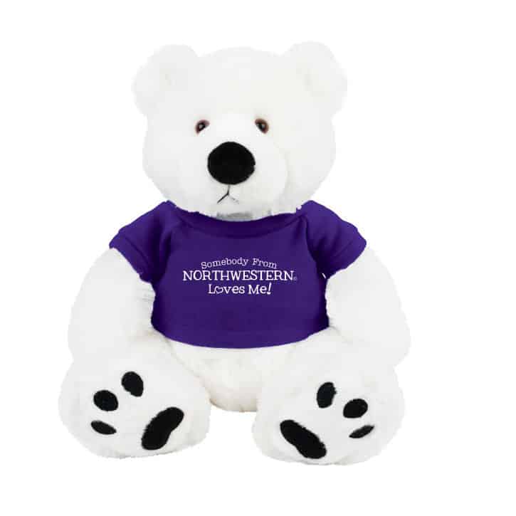 Northwestern Wildcats Teddy Bear Scout Wearing Purple "Somebody From Northwestern Loves Me" Tee Shirt