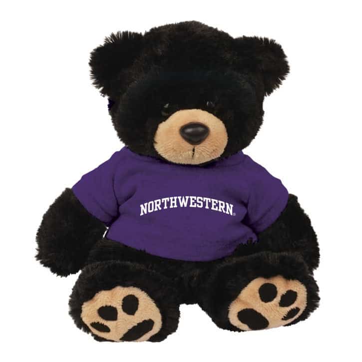 Northwestern Wildcats Teddy Bear Cooper Wearing Purple "Northwestern" Tee Shirt