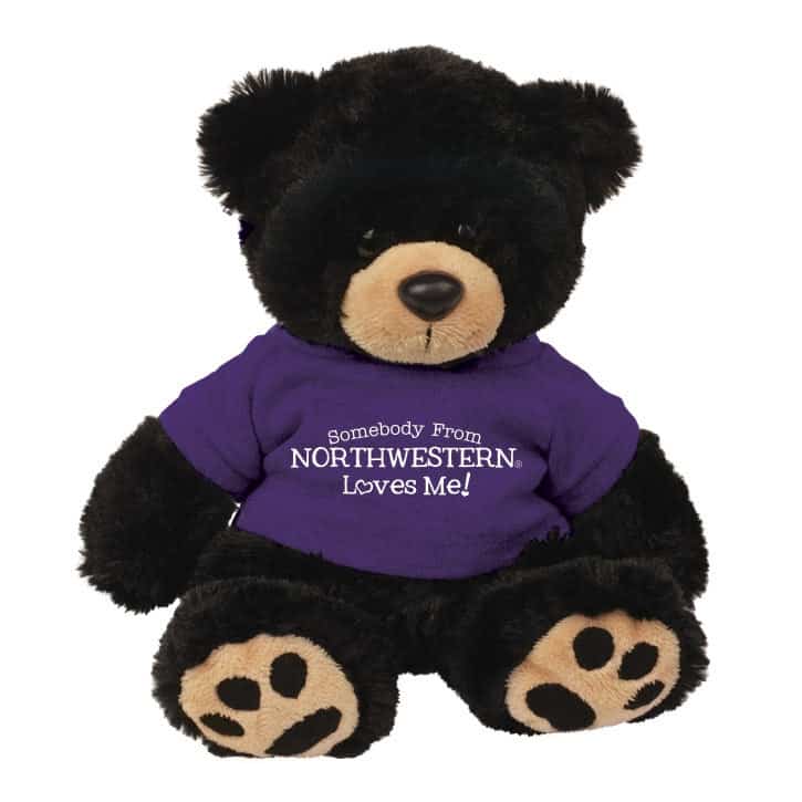 Northwestern Wildcats Teddy Bear Cooper Wearing Purple "Somebody From Northwestern Loves Me" Tee Shirt