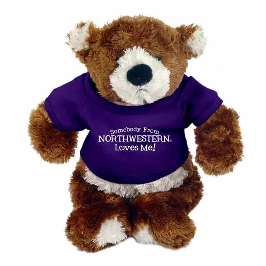 Northwestern Wildcats Teddy Bear Spencer Jr. Wearing Purple "Somebody From Northwestern Loves Me" Tee Shirt