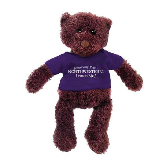 Northwestern Wildcats Gund Teddy Bear Phil Wearing Purple "Somebody From Northwestern Loves Me" Tee Shirt