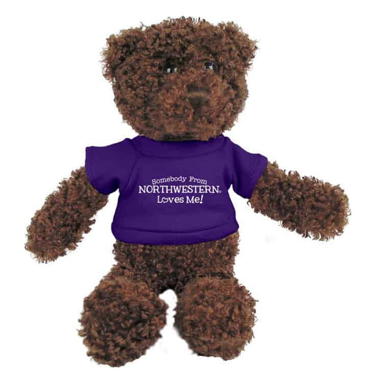 Northwestern Wildcats Teddy Bear Chocolate Tropical Wearing Purple "Somebody From Northwestern Loves Me" Tee Shirt
