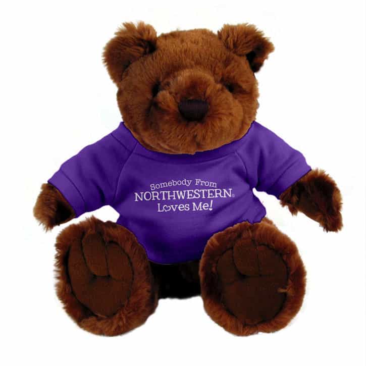 Northwestern Wildcats Teddy Bear Dark Brown Knuckles Wearing Purple "Somebody From Northwestern Loves Me" Tee Shirt