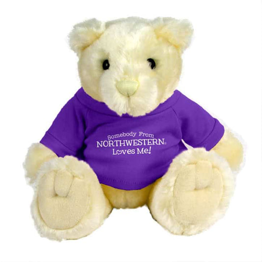 Northwestern Wildcats Teddy Bear Vanilla Knuckles Wearing Purple "Somebody From Northwestern Loves Me" Tee Shirt