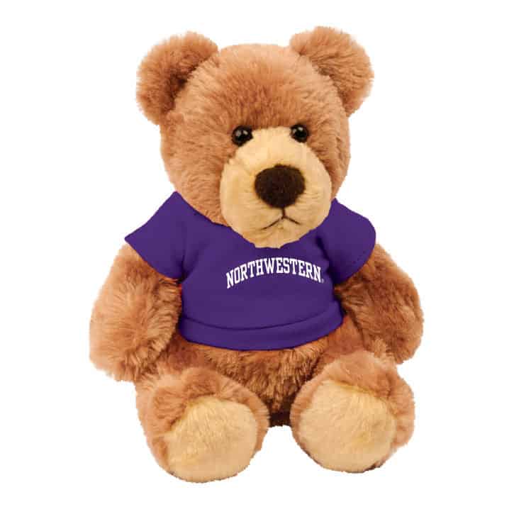 Northwestern Wildcats Teddy Bear Barney Wearing Purple "Northwestern" Tee Shirt