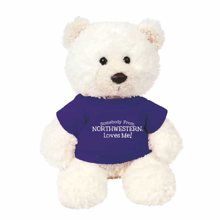 Northwestern Wildcats Teddy Bear Baxter Cream Wearing Purple "Somebody From Northwestern Loves Me" Tee Shirt