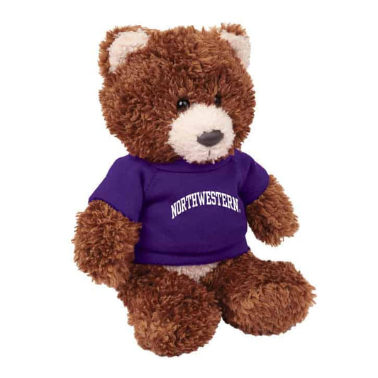 Northwestern Wildcats Teddy Bear Baxter Brown Wearing Purple "Northwestern" Tee Shirt