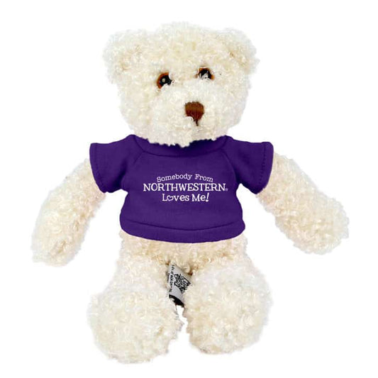 Northwestern Wildcats Teddy Bear Tropical Vanilla Wearing Purple "Somebody From Northwestern Loves Me" Tee Shirt