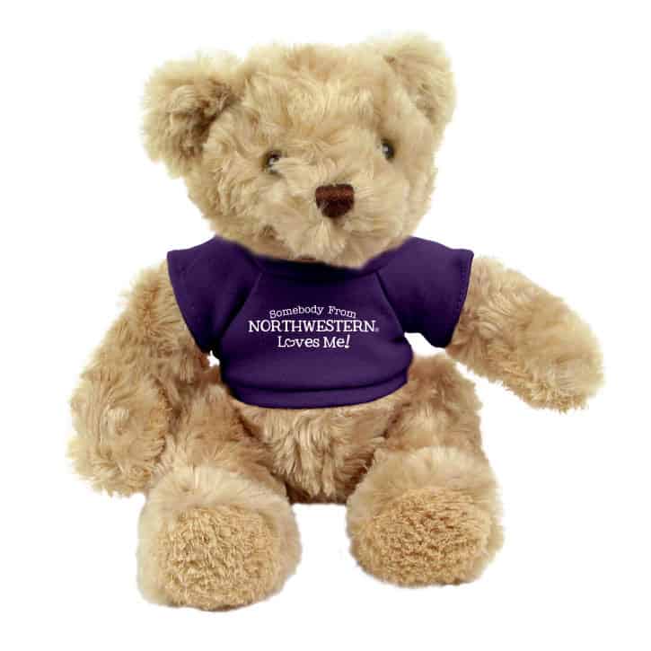 Northwestern Wildcats Teddy Bear Honey Bear Wearing Purple "Somebody From Northwestern Loves Me" Tee Shirt