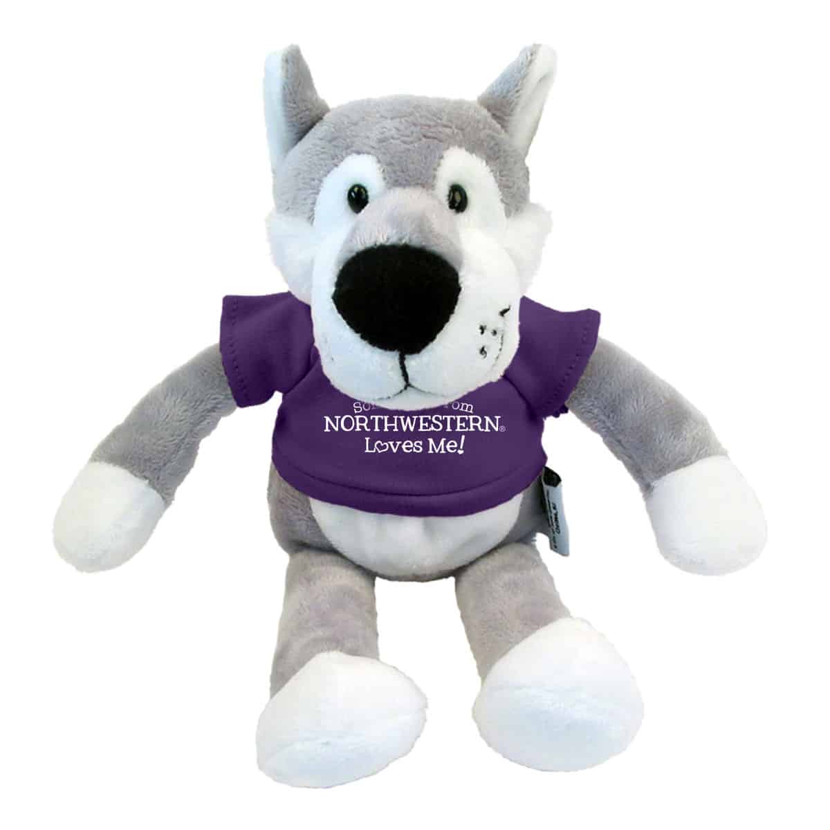 Northwestern Wildcats Wildbunch Wildcat Wearing Purple "Somebody From Northwestern Loves Me" Tee Shirt