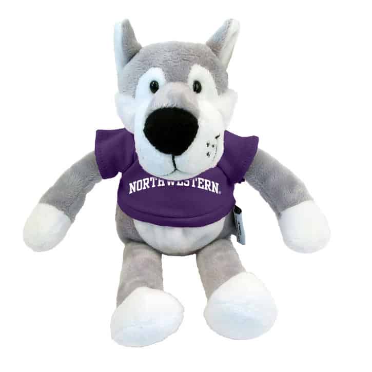 Northwestern Wildcats Wildbunch Wildcat Wearing Purple "Northwestern" Tee Shirt