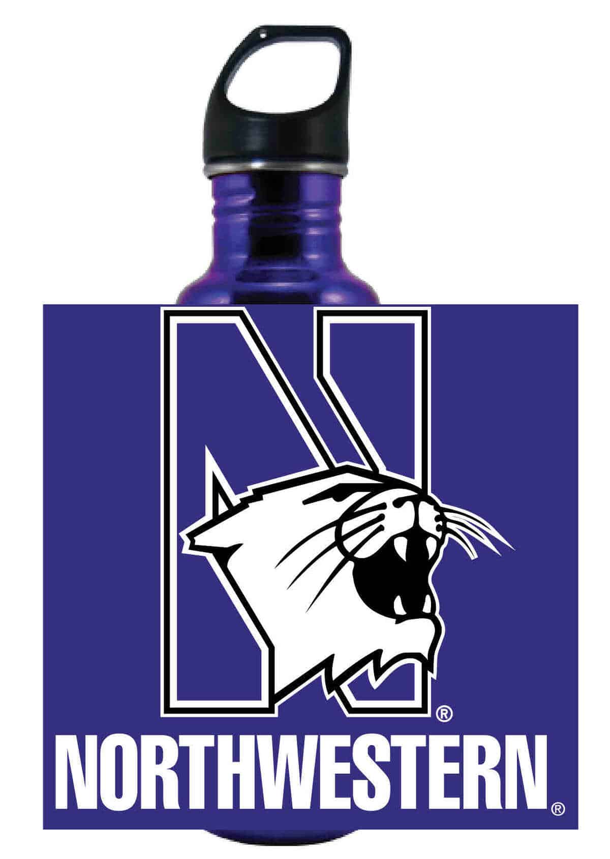 Northwestern Wildcats 32 oz. Excursion Stainless Steel Bottle with Multi Color "N-Cat Northwestern" Design