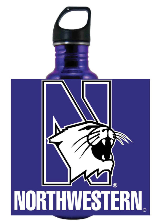 Northwestern Wildcats 32 oz. Excursion Stainless Steel Bottle with Multi Color "N-Cat Northwestern" Design