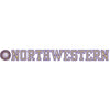 Northwestern University Wildcats Static Cling Inside Application Decal with Seal Design 1.25"X18.5"