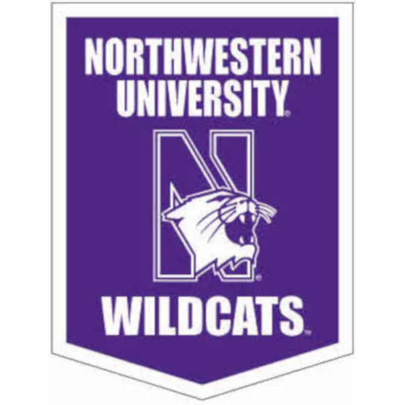 Northwestern Wildcats Pennant 