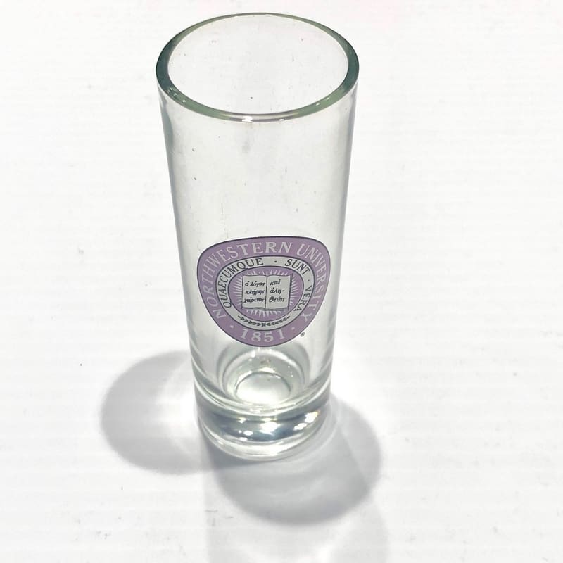 Northwestern Wildcats 14 oz. Tall Beer Glass with Seal Design
