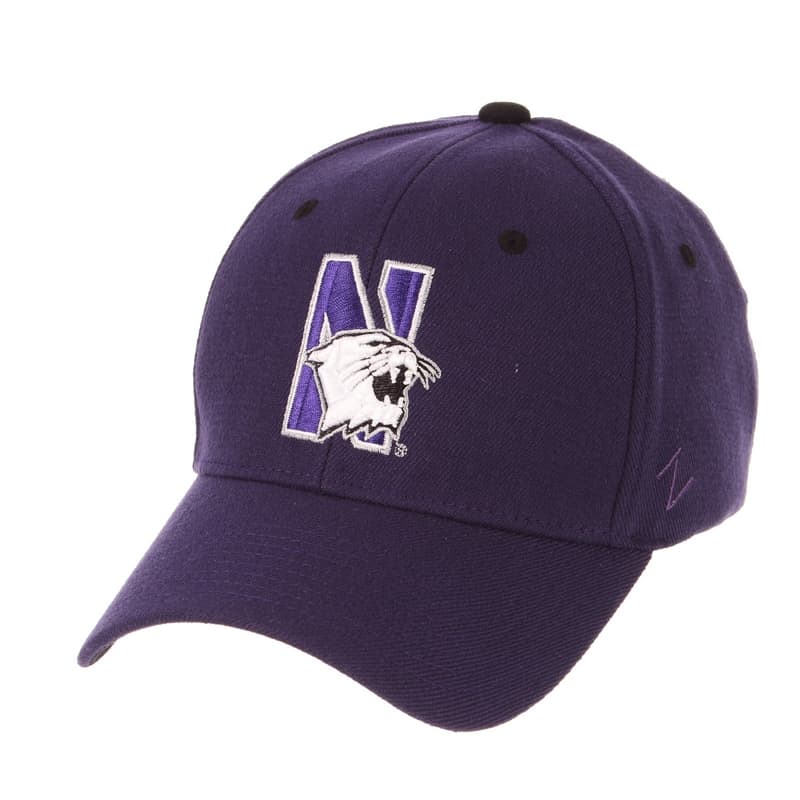 Northwestern Wildcats Zephyr Constructed Flex Fit Dark Purple Hat  Multicolor N-Cat Design
