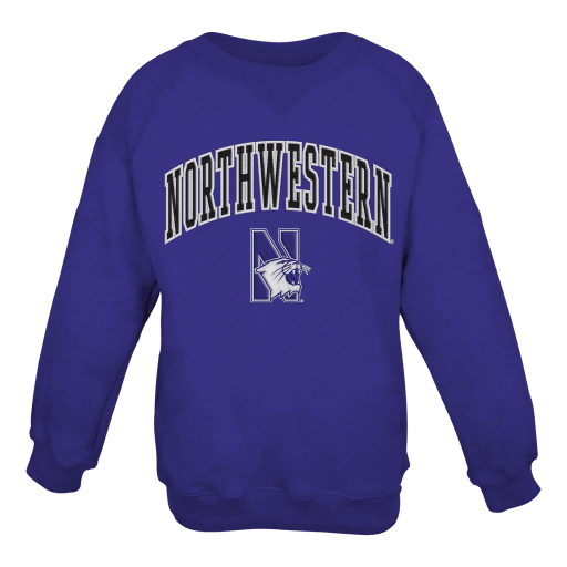 Northwestern Wildcats Mens Crewneck Sweatshirt with Tackle ...