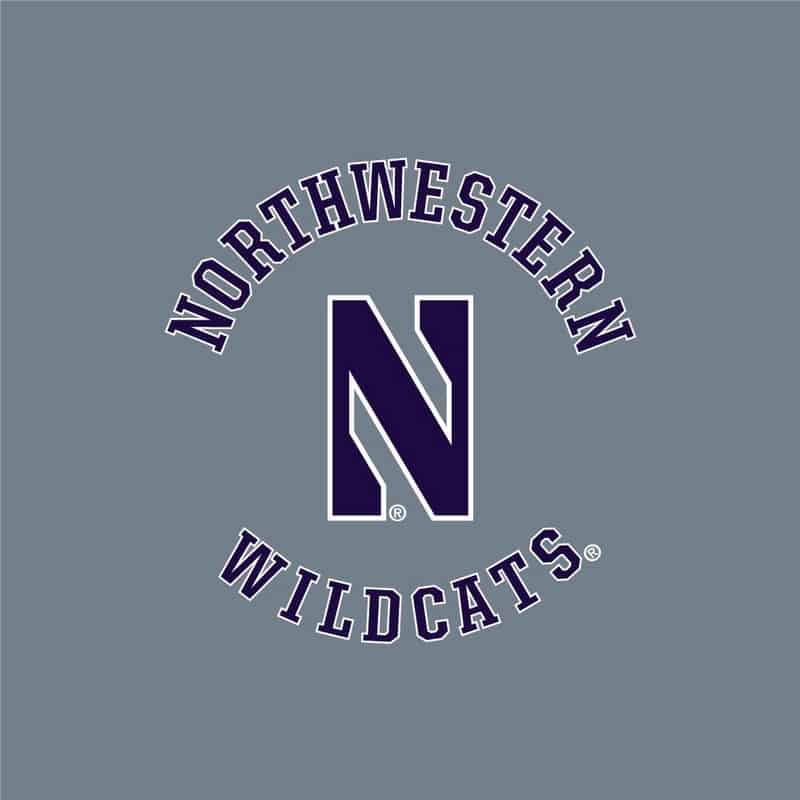 Northwestern University Wildcats Ladies Under Armour True Grey