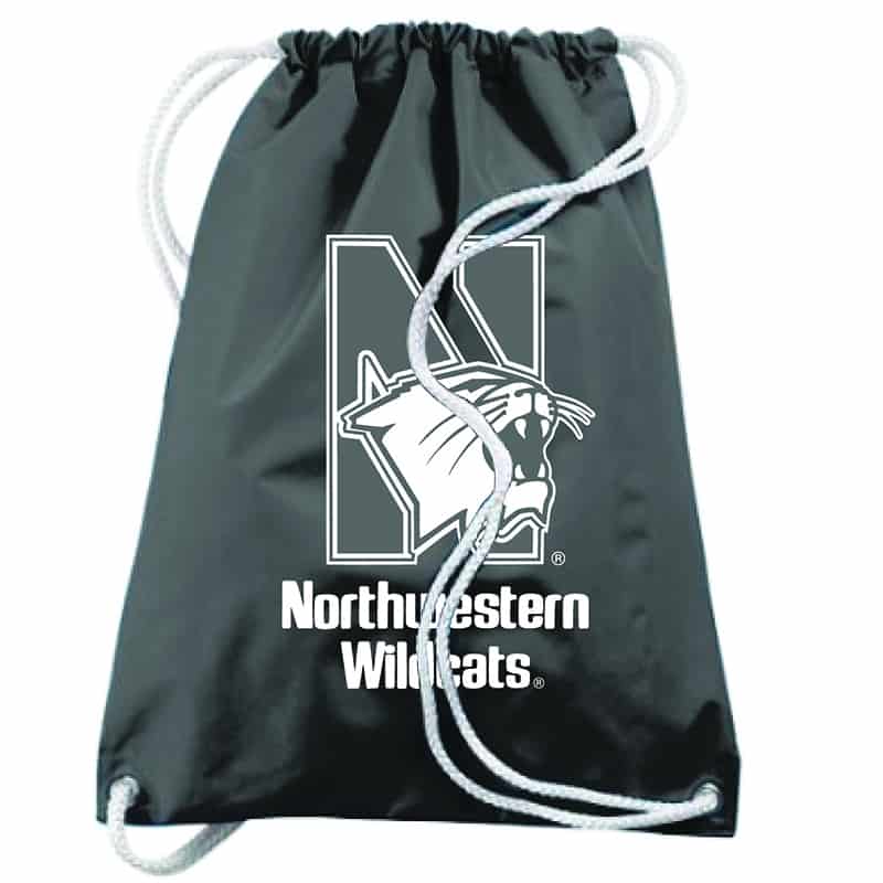 Northwestern I Kellogg Under Armour White Hustle 5.0 Backpack